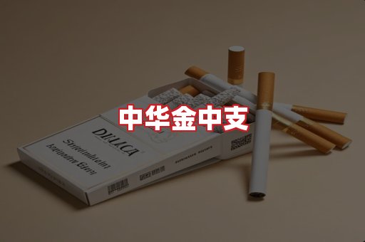 中华金中支